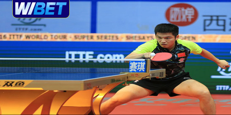 Lý do cá cược bóng bàn  thu hút đông đảo bet thủ