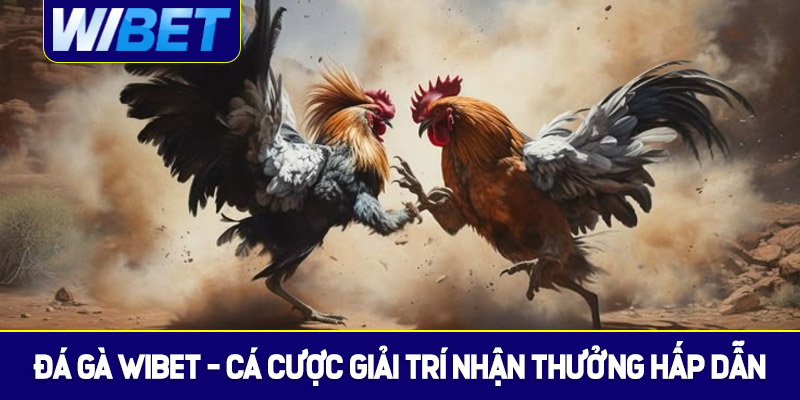 Giới thiệu về đá gà WIBET