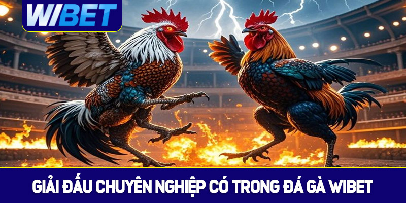 Những giải đấu chuyên nghiệp có trong đá gà WIBET
