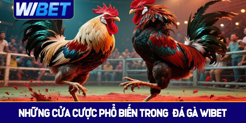 Những cửa cược chi tiết và phổ biến trong đá gà WIBET