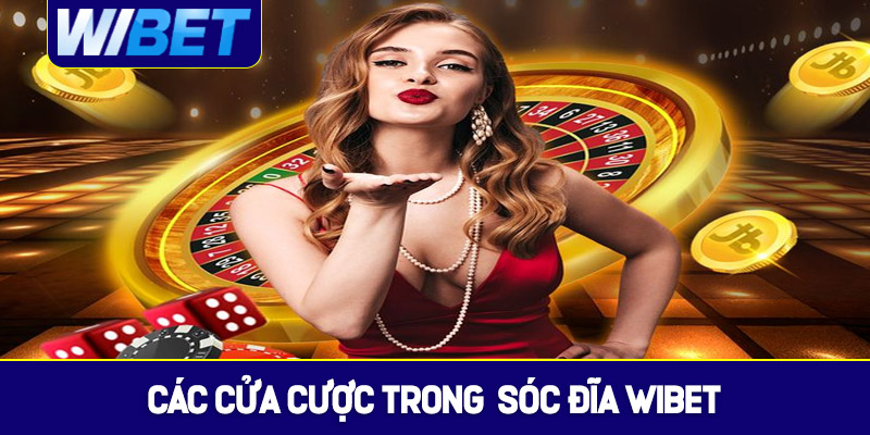 Khám phá các cửa cược trong xóc đĩa WIBET